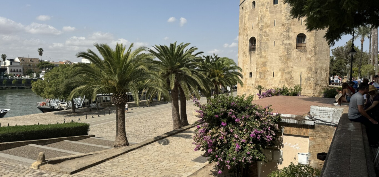  Aktualności, Galeria, Z życia szkoły23 września 2024 Już za niecały miesiąc nasi uczniowie będą mieli niezwykłą okazję zdobywać doświadczenie zawodowe w malowniczej Sevilli! Będzie to nie tylko czas na rozwijanie umiejętności, ale także na poznawanie lokalnej kultury, języka i przepysznej hiszpańskiej kuchni. Aby przybliżyć Wam to, co czeka naszych uczniów, przygotowaliśmy dla Was zdjęcia z wizyty przygotowawczej,