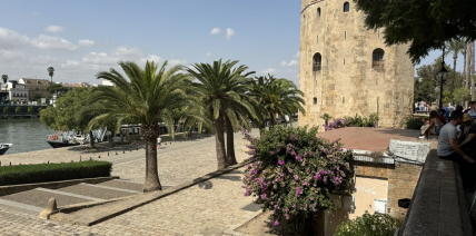  Aktualności, Galeria, Z życia szkoły23 września 2024 Już za niecały miesiąc nasi uczniowie będą mieli niezwykłą okazję zdobywać doświadczenie zawodowe w malowniczej Sevilli! Będzie to nie tylko czas na rozwijanie umiejętności, ale także na poznawanie lokalnej kultury, języka i przepysznej hiszpańskiej kuchni. Aby przybliżyć Wam to, co czeka naszych uczniów, przygotowaliśmy dla Was zdjęcia z wizyty przygotowawczej,